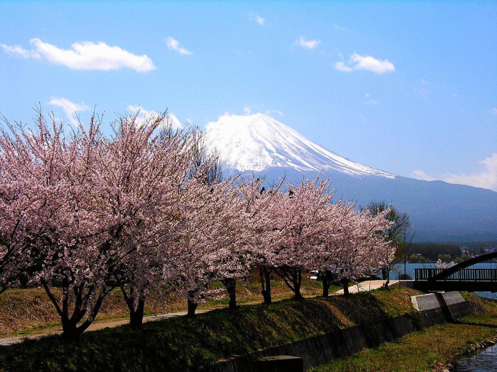 Guesthouse Sakuya Fujikawaguchiko Exterior photo