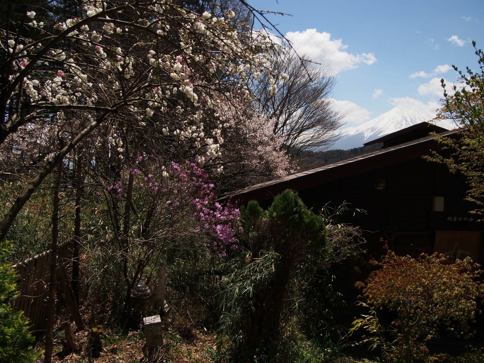 Guesthouse Sakuya Fujikawaguchiko Exterior photo